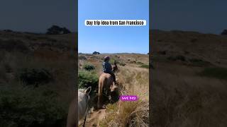 Horseback riding near San Francisco (dunes and beaches) #bodegabay #bayarea