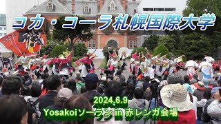 よさこいダンスチーム東海大学 響　 Yosakoiソーラン in 赤レンガ会場　2024.6.9