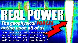 Electromagnetic Fields Stress Living Cells
