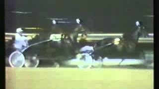 American Trotting Championship 1978 -Kash Minbar