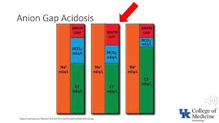 Keyword Review: Diabetes (Part 1) - (Dr. Bowe)