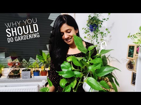 What is the benefits of gardening?