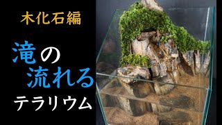 木化石レイアウト 滝の流れるアクアテラリウムを立ち上げる