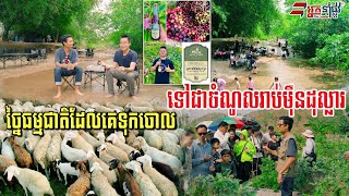 ច្នៃទំពាំងបាយជូរព្រៃធ្វើស្រា​ ចំណូលរាប់ម៉ឺនដុល្លារ និងលក់សំបុត្រទាញទេសចរណ៍មកលេង៦០០នាក់/ថ្ងៃ