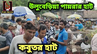 Uluberia pet market | Current Exotic Pigeon's Price Update at Uluberia 04/05/2024 Visit | One Moon