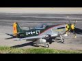 P-51 Mustang RC Warbird Flight Review in HD!