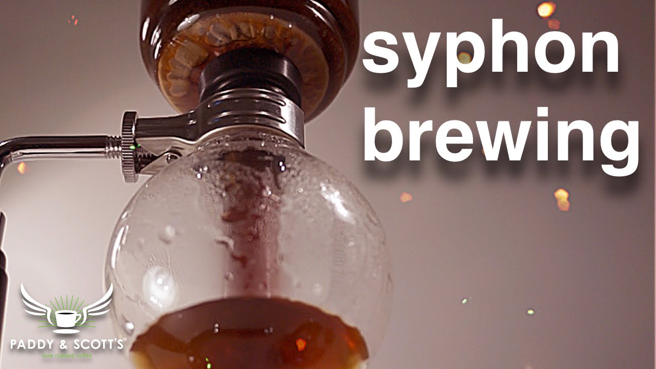 Syphon Brewing Barista Training Youtube