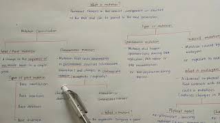 Chapter 7 Mutation: 7.1 Mutation Classification and Types