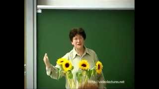 Evolution in Four Dimensions