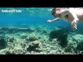 Underwater Snorkeling at Calanque de Sormiou