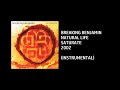 Breaking Benjamin - Natural Life [Custom Instrumental]