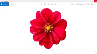 Node.js ImageMagick Image Processing Library Demo with Example