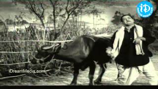 Kalasivunte Kaladu Sukham Movie Songs - Mudda Bhanthi Song - NTR - Savitri - SVR