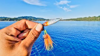 EXPLODE‼️Fishing Casting in Front of the Beach || Panik Reel Hemus Purist Screams Until Hot😱