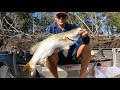 LIVE BAIT FISHING for BARRAMUNDI | Mangrove Jack | Fingermark | Northern Australia