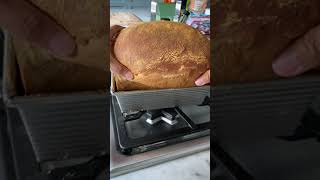 This bread grew ridiculously out of control