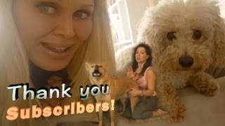10 Years of Dog Functional 10 Years of Dog Functional