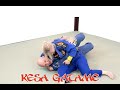 Kesa Gatame, Judo's Heaviest Pin for BJJ: Stephan Kesting and Kathy Hubble demo and discuss.