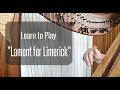 HARP LESSON | How to Play 