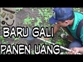 metal detector Indonesia || harta karun hutan BLORA Jawa tengah