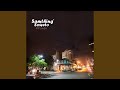 Ndofire/Skado