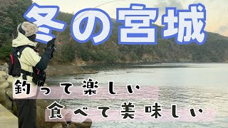 冬の宮城で何を釣る？今この時期にやりたいおすすめの釣り！