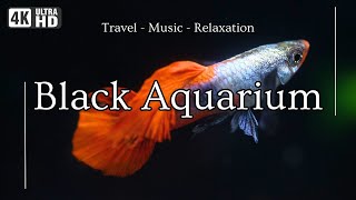 4K UHD - Ultimate Relaxation: Black Screen Fish Aquarium, Fish Tank Sound and Music