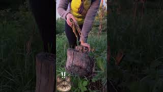 ASMR girl survival in the forest p2 #camping #survival #bushcraft #outdoors #cooking#marusya #asmr