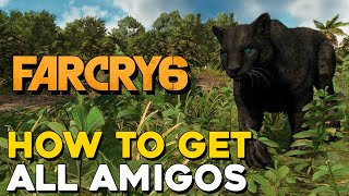 Far Cry 6 How To Get All  Amigos (Loyal Army Trophy / Achievement)