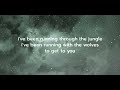 Selena Gomez ft Marshmello - Wolves (lyrics)