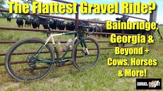 The Flattest Gravel Ride? Bainbridge, Georgia & Beyond + Cows, Horses & More!