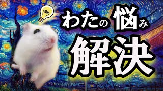 これでハムスター飼育最大の悩みが解決します