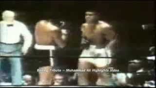 Boxing Tribute - Muhammad Ali - Highlights Video -★★★★★