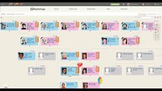 Using MyHeritage Tools to Improve Your Family Tree Data