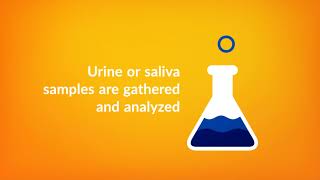 What to Expect When Completing a Drug Test