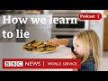 Why do we lie? - CrowdScience podcast, BBC World Service
