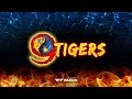 9 Tigers (Wazdan)