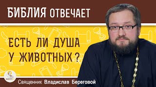 ЕСТЬ ЛИ ДУША У ЖИВОТНЫХ ?  Священник Владислав Береговой