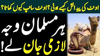 Ount ki Paidaish Kaise Hui | اونٹ سانپ کیوں کھاتا ہے؟ | Urdu Media