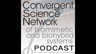 Joscha Bach - Convergent Science Network Podcast (2018)