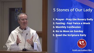 5 Spiritual Stones of Our Lady | Mark 3:1-6 by Fr. Michael Sparough, SJ #homily