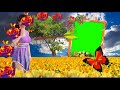 BEAUTIFUL GREEN SCREEN EFFECT (((KILLER DILJALE MUKESH))) +919798317417