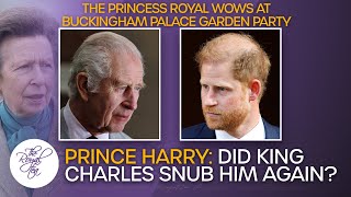Was Prince Harry Really Snubbed Twice By King Charles On Return To UK?