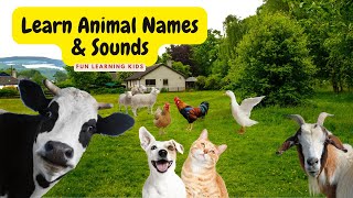 Farm Animals Names and Sounds | Educational Videos for Kids | 4K | new movie 2023