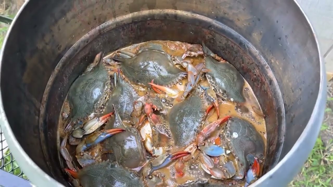 Epic Crab Cookout Youtube