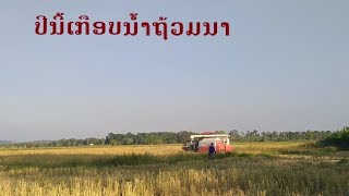 ເກັບກ່ຽວເຂົ້ານາປີ, เก็บเกี่ยวผลผลิตข้าวนาปี 2024