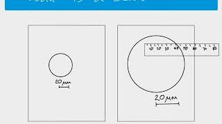 AS Biology - Using scale bars to calculate magnification
