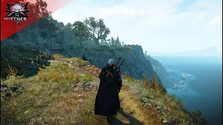 The Witcher 3 - Music & Ambience - Walking through beautiful island of Skellige