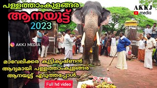 Pallathamkulangara aanayoottu 2023. Mavelikkara kuttykrishnan elephant, full video @AKKJ_MEDIA