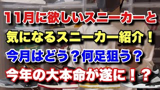 【スニーカー】11月に欲しい！気になるスニーカーの紹介！今月は今年の大本命が遂に！？